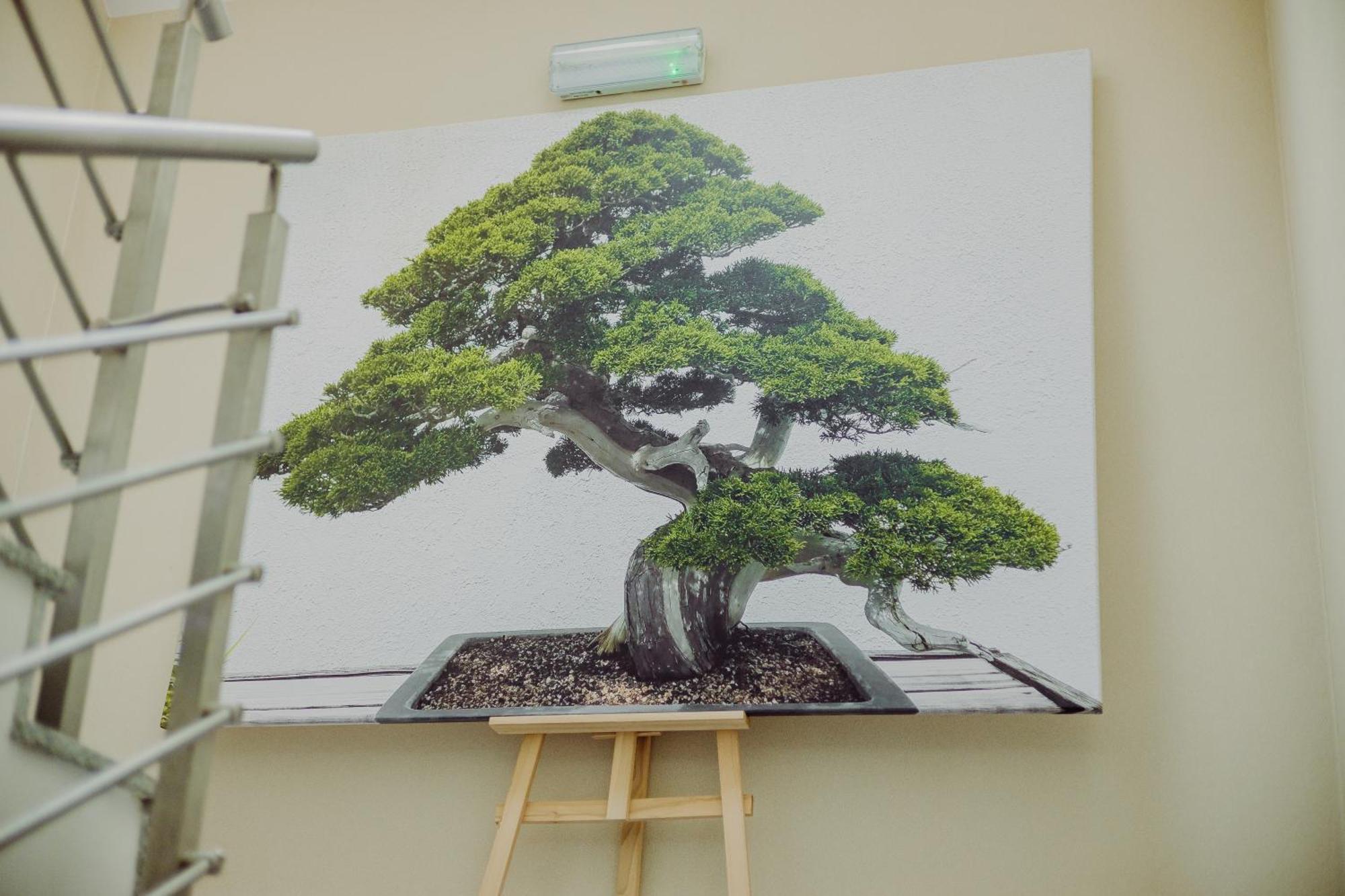 Hotel Bonsai Niemcza Buitenkant foto